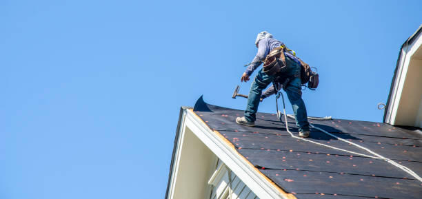 Best Roof Maintenance Services  in Harbor Isle, NY